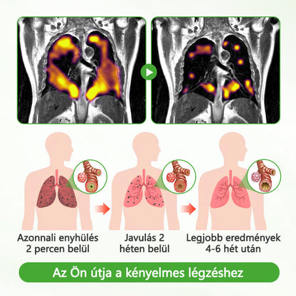 CleraNaure® HerbaAir Mullein Kivonatos Orrinhalátor ⭐ Természetes Gyógynövényes Formula Mindennapi Használatra 🔥
