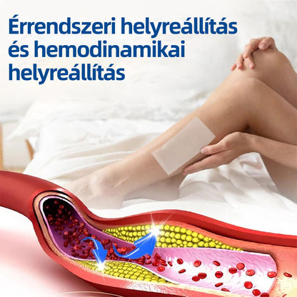 Healrize® VeinTarget™ Mikrotűs Tapasz – Segít Csökkenteni a Lábfáradtságot, Duzzanatot és Támogatja az Egészséges Vénás Keringést 🦵🌿